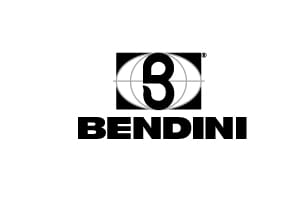 Bendini cranes logo