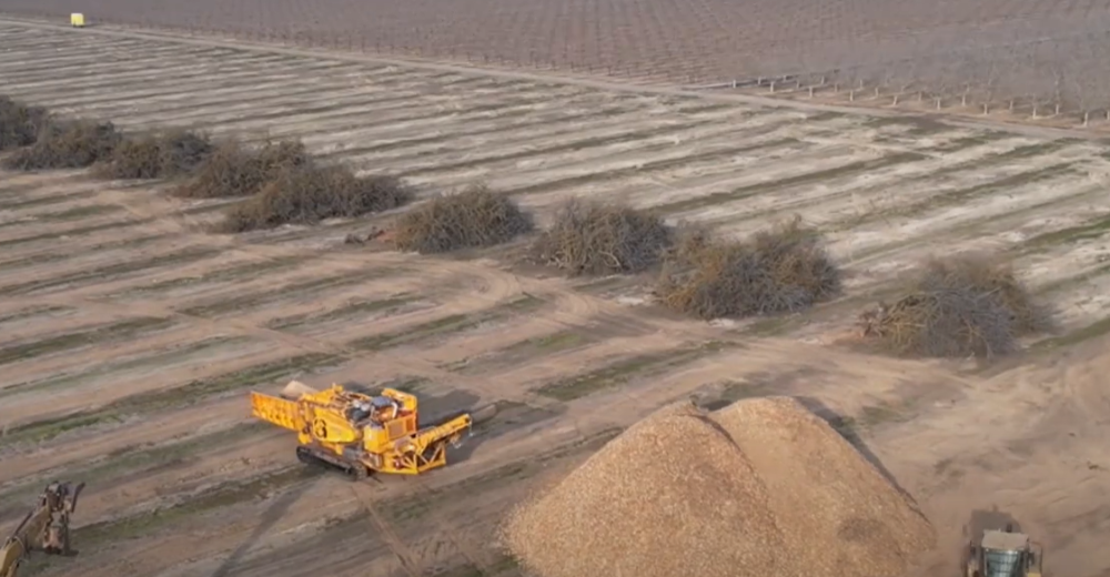 6400CT Biomass Video Thumbnail