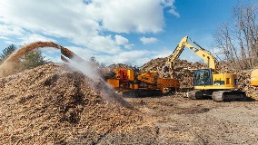 Trees Being Grinded By A CBI Machine