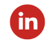 LinkedIN_Social_Icon_Canica